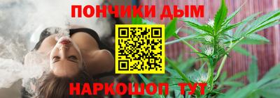 Альфа ПВП Бийск