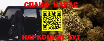 Альфа ПВП Бийск