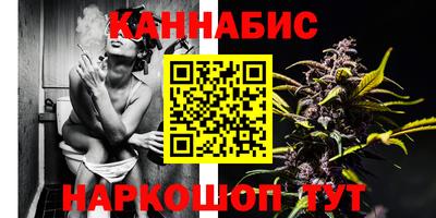 Альфа ПВП Бийск
