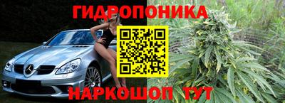 Альфа ПВП Бийск