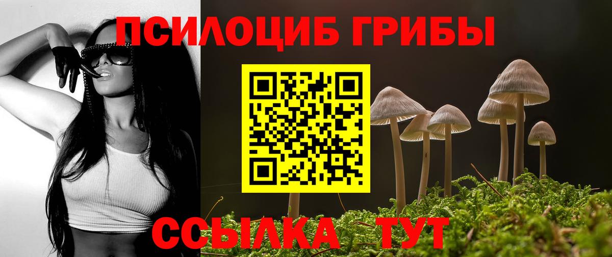 продажа наркотиков  Псилоцибиновые грибы мухоморы  Вход с VPN  Псилоцибиновые грибы Psilocybe  Кемерово 